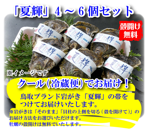 【予約販売】鳥取賀露港 天然岩がき「夏輝」(4~6個セット)