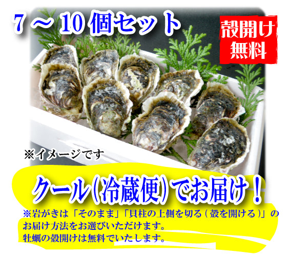 【予約販売】鳥取賀露港 天然岩がき(7~10個セット)