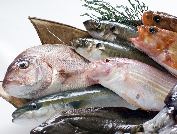 鳥取県賀露港直送　海産物