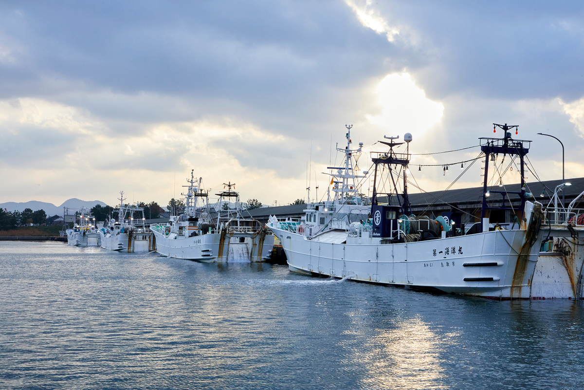 栄養豊かな海水で育った日本海の幸