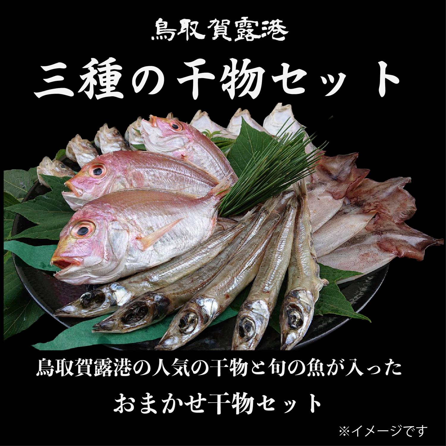 鳥取賀露港　おまかせ3種の一夜干しセット（大）【焼き魚におすすめ】