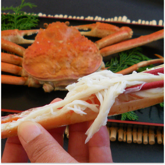 松葉がに（大中・1~1.5人前） 600g以上 ボイル