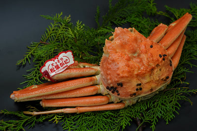 松葉がに（中・1人前）　500g以上 ボイル