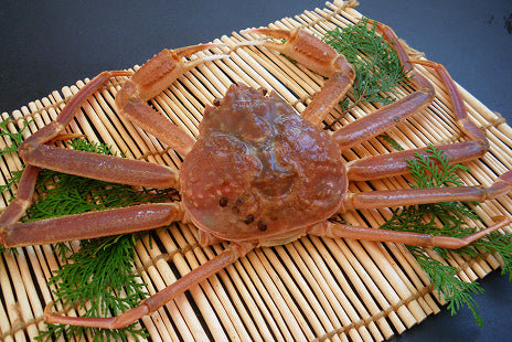 松葉がに（中・1人前）　500g以上 生