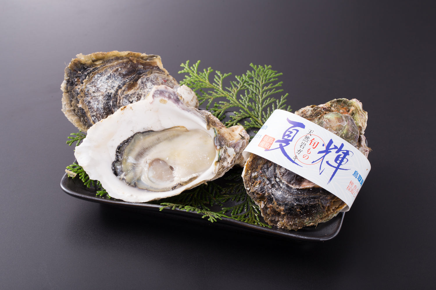 【予約販売】鳥取賀露港　天然岩がき「夏輝」（3～5個セット）