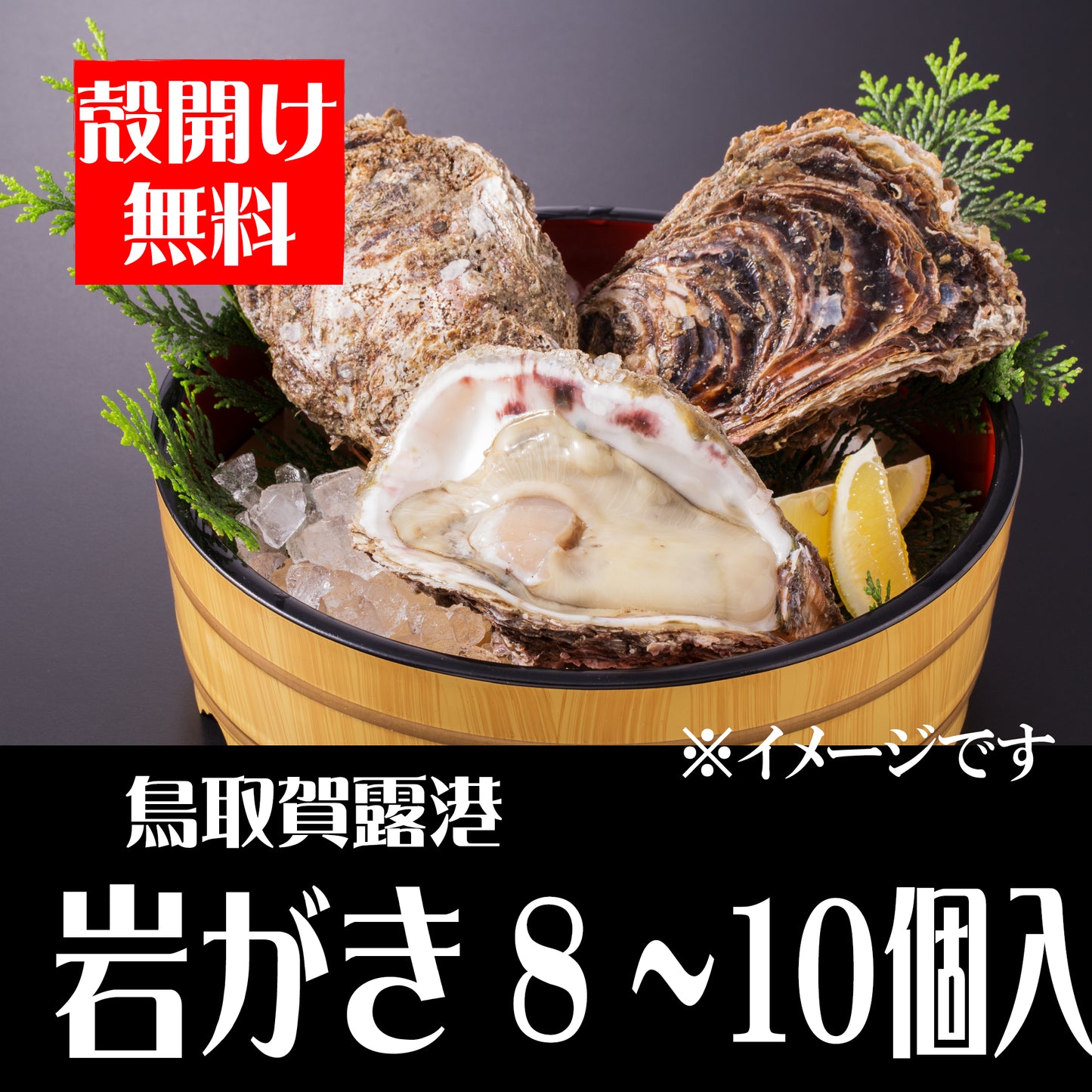【予約販売】鳥取賀露港　天然岩がき（8～10個セット）