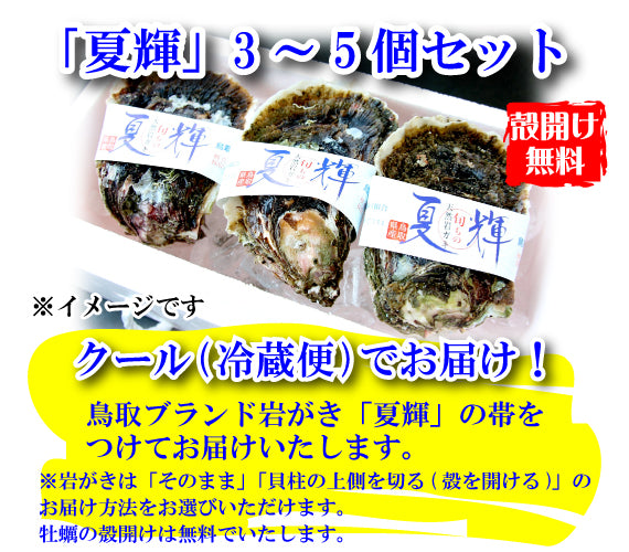 【予約販売】鳥取賀露港　天然岩がき「夏輝」（3～5個セット）