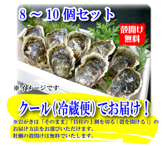 【予約販売】鳥取賀露港　天然岩がき（8～10個セット）